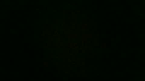 stensurfarn online show from 12-02-25, 12:43