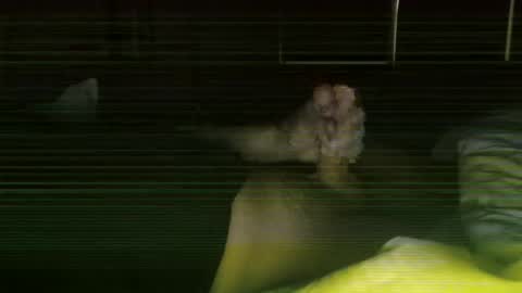 Steve online show from 02-27-26, 11:43