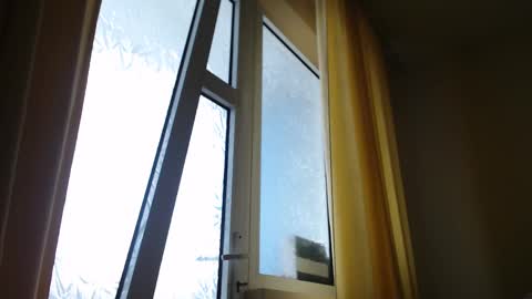 Snapshot of stevenbradley2017 chatting on 02-19-25, 01:39 Steven online show from 02-19-25, 01:39