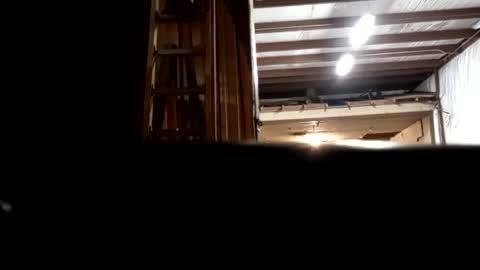 Oval2022 online show from 12-16-24, 12:48