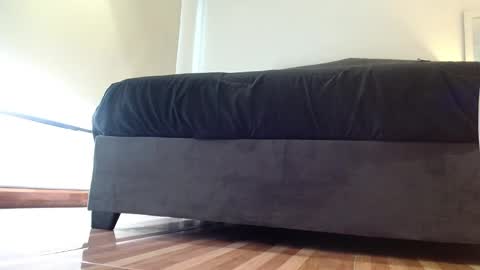 storm_hanks online show from 01-14-26, 11:38