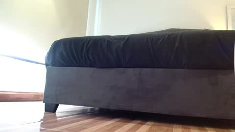 stormy  carter online show from 11-04-25, 12:15