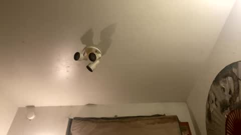 Snapshot of strangestag chatting on 09-27-25, 07:46 Stag online show from 09-27-25, 07:46