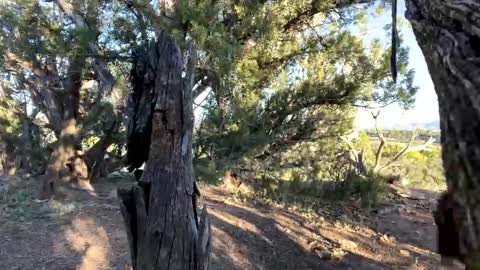 Snapshot of strangestag chatting on 10-06-25, 11:46 Stag online show from 10-06-25, 11:46