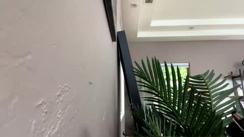 Snapshot of strawbrysugar chatting on 12-11-24, 05:59 Ruby Moon online show from 12-11-24, 05:59