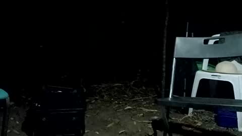 Snapshot of stroll0695 chatting on 02-12-25, 01:06 Bigdickdugan online show from 02-12-25, 01:06