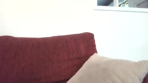 stud4cougar online show from 12-08-24, 07:54