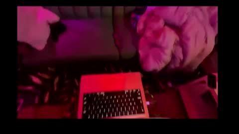 studio4three online show from 02-26-25, 11:20