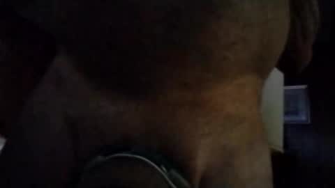 Snapshot of stuffamuffagus69 chatting on 11-16-25, 01:00 stuffamuffagus69 online show from 11-16-25, 01:00