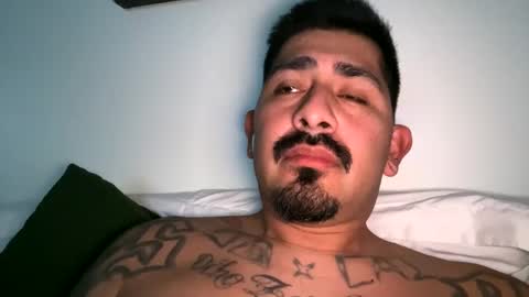 stylezg805 online show from 10-04-25, 08:34