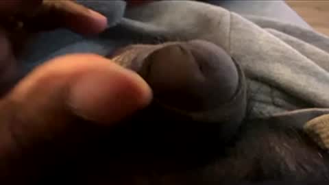 Let me be your knight that saves you online show from 01-07-26, 08:55