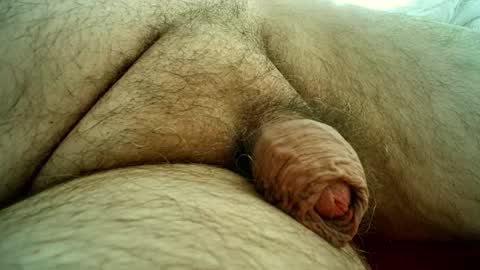 Samenspender online show from 10-28-25, 01:47