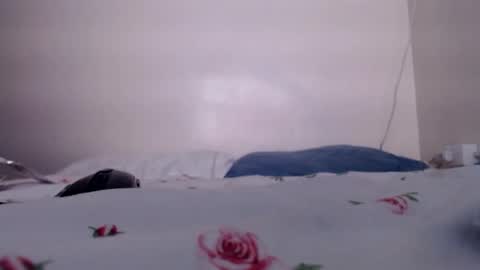 Snapshot of sukmykis chatting on 12-17-24, 05:51 sukmykis online show from 12-17-24, 05:51