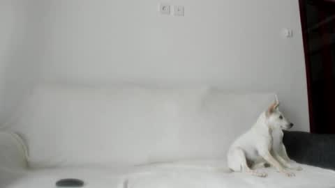 Snapshot of summer_sunshine_ chatting on 10-21-25, 02:34 Angel PVT show open online show from 10-21-25, 02:34