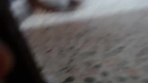 Snapshot of suxxxy_ chatting on 01-29-25, 03:04 Suxxxy online show from 01-29-25, 03:04