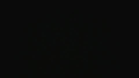 Swakken online show from 12-16-24, 07:43