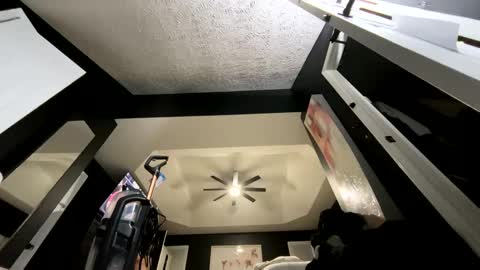 Swapman47 online show from 01-25-25, 07:17