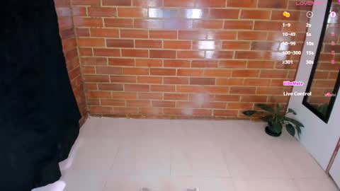 Stephanie online show from 02-08-25, 02:27