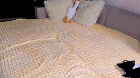 Snapshot of sweet_barbe chatting on 11-15-25, 03:52 Alice online show from 11-15-25, 03:52