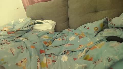 Stacy online show from 01-02-25, 02:13