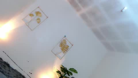 May online show from 12-01-25, 06:13