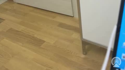 Snapshot of sweetlovelyladylove chatting on 04-15-26, 08:32 sweetlovelyladylove online show from 04-15-26, 08:32