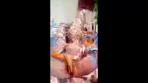 SweetSpot online show from 03-24-26, 10:42