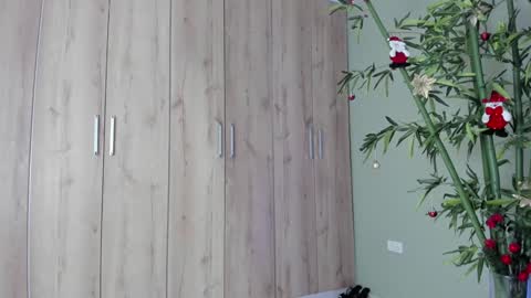    online show from 12-21-24, 11:02