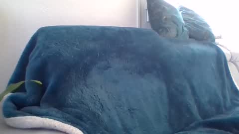 Snapshot of swissride chatting on 02-27-25, 01:38 swissride online show from 02-27-25, 01:38