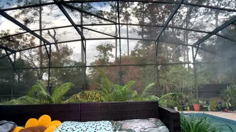 Jennah online show from 12-17-25, 09:43