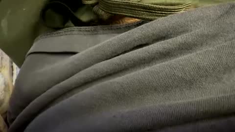 Snapshot of t265h chatting on 10-24-25, 01:03 tRex online show from 10-24-25, 01:03