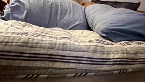 Snapshot of t265h chatting on 11-05-25, 12:43 tRex online show from 11-05-25, 12:43