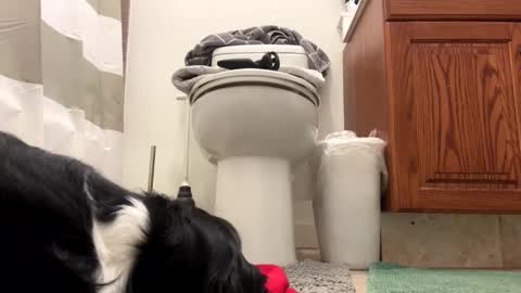 Snapshot of t265h chatting on 11-22-25, 04:11 tRex online show from 11-22-25, 04:11