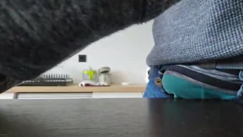 taconatatox online show from 12-02-24, 01:35