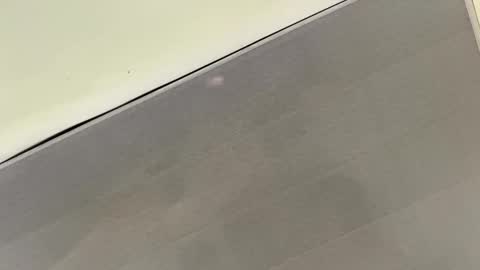 tali  online show from 11-01-25, 03:36