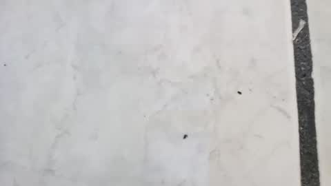 tall6feet7inch online show from 09-14-25, 11:42