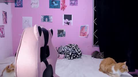 Snapshot of tamako_kitty__ chatting on 12-14-24, 06:02 Alejandra Independent model online show from 12-14-24, 06:02