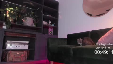 Nathalie Hardy  online show from 12-02-24, 10:23