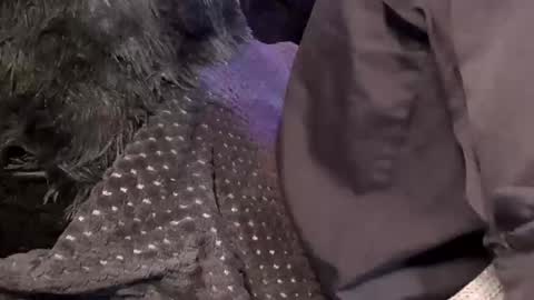 Jean pool online show from 12-15-25, 11:47