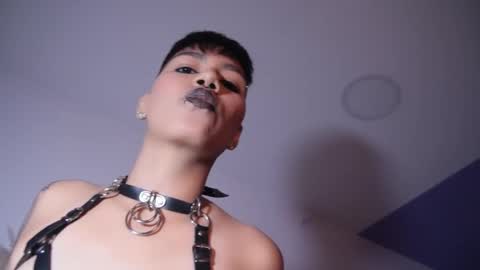 Snapshot of taylorharp chatting on 11-05-25, 08:09 Taylor online show from 11-05-25, 08:09