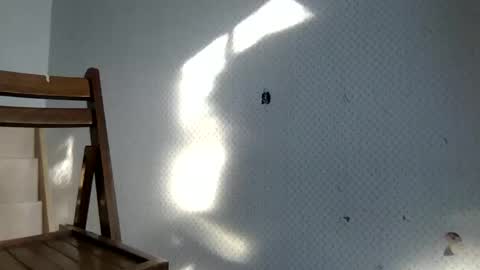 Snapshot of tecovas chatting on 12-30-24, 08:25 tec0vas online show from 12-30-24, 08:25