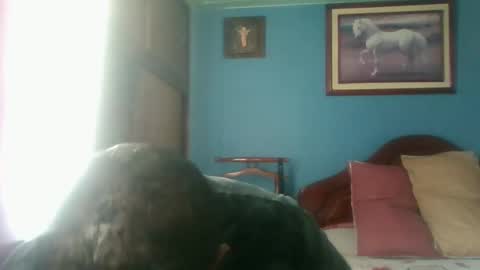 Fabio Canavaro online show from 01-03-25, 04:59