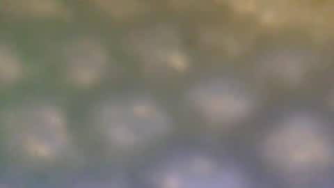 that_thing20 online show from 03-05-25, 07:06