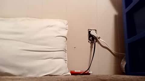 Snapshot of thatb1 chatting on 12-16-25, 04:50 thatb1 online show from 12-16-25, 04:50