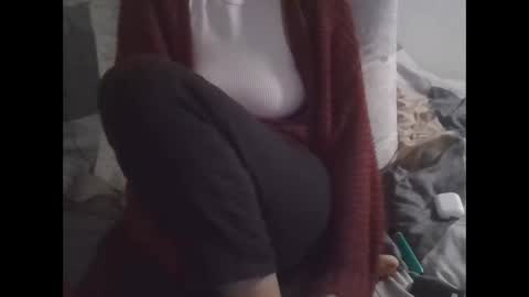 Snapshot of the_borderlands chatting on 11-13-25, 11:42 the crazy travellers online show from 11-13-25, 11:42