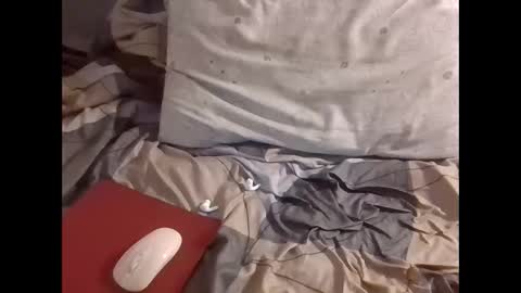 Snapshot of the_borderlands chatting on 12-01-25, 08:52 the crazy travellers online show from 12-01-25, 08:52