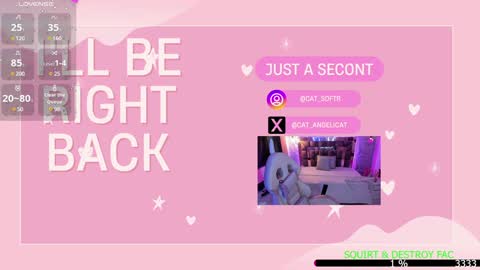 Snapshot of the_cat_girl_ chatting on 01-13-25, 09:52 i am Cat online show from 01-13-25, 09:52