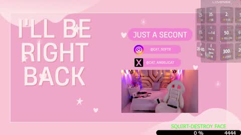 Snapshot of the_cat_girl_ chatting on 01-15-25, 07:34 i am Cat online show from 01-15-25, 07:34