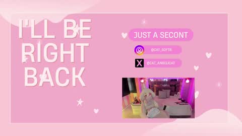 Snapshot of the_cat_girl_ chatting on 03-12-25, 07:06 i am Cat online show from 03-12-25, 07:06