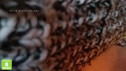 The Real Hanjob Couple online show from 02-04-26, 11:49